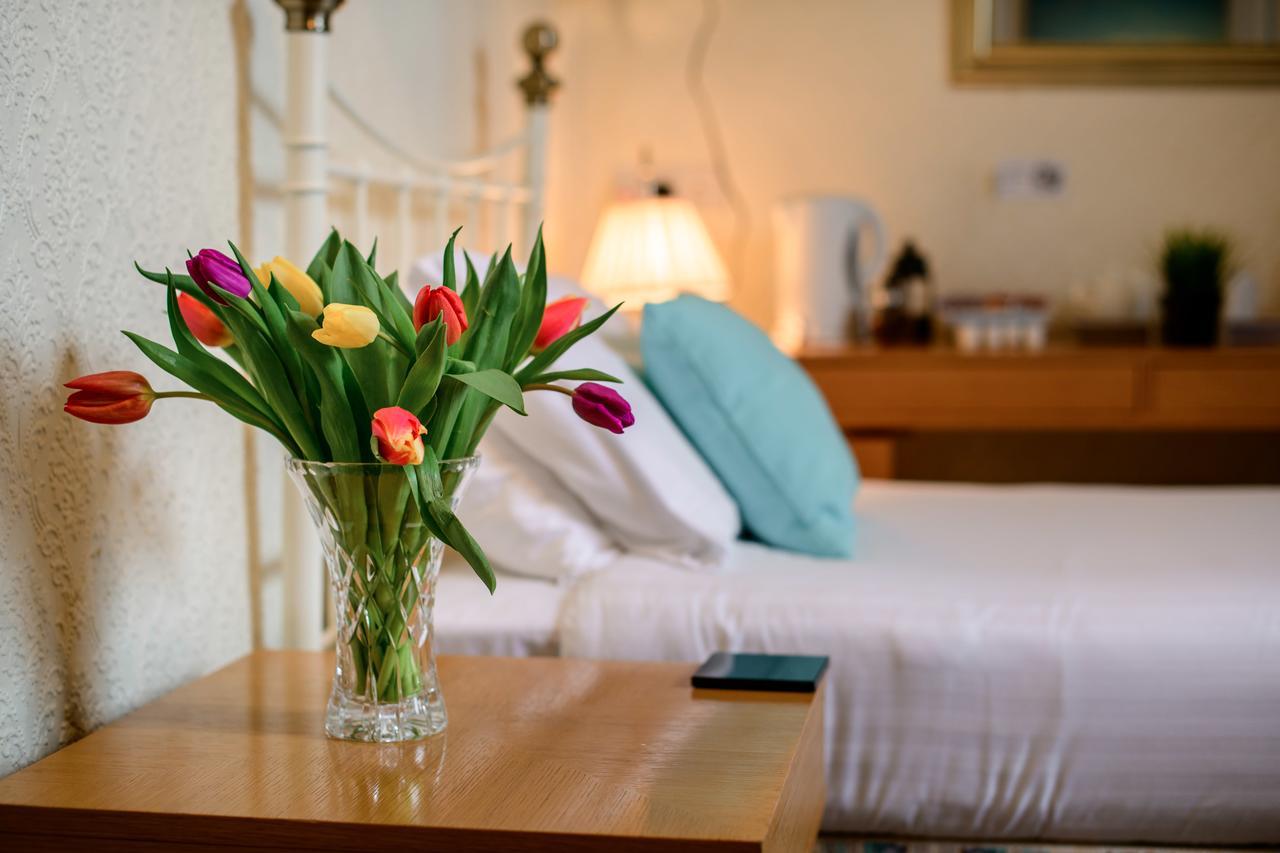 Guest house The Alexander - By Tifa 3*