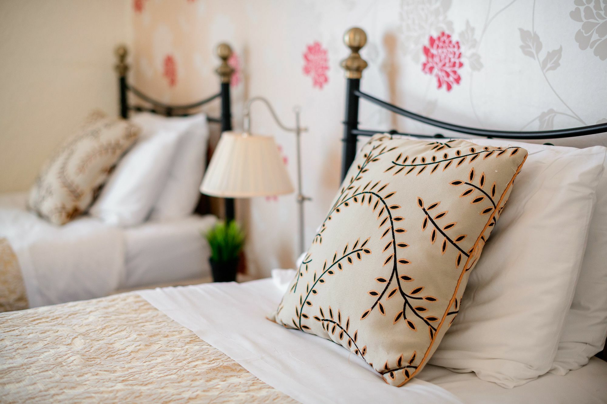 The Alexander - By Tifa Guest house Swansea