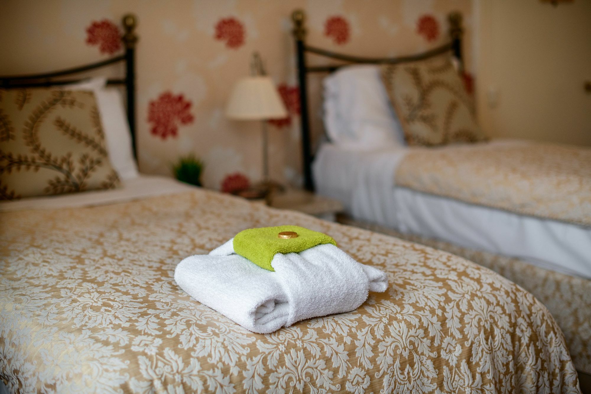 The Alexander - By Tifa Guest house